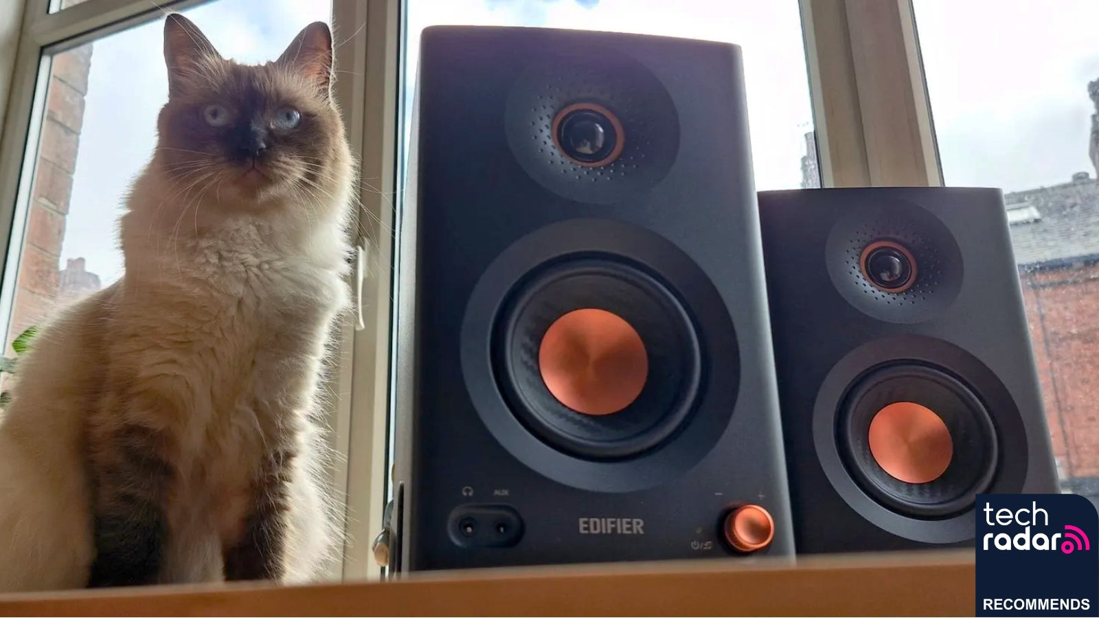 MR5 exceeded all of my expectations